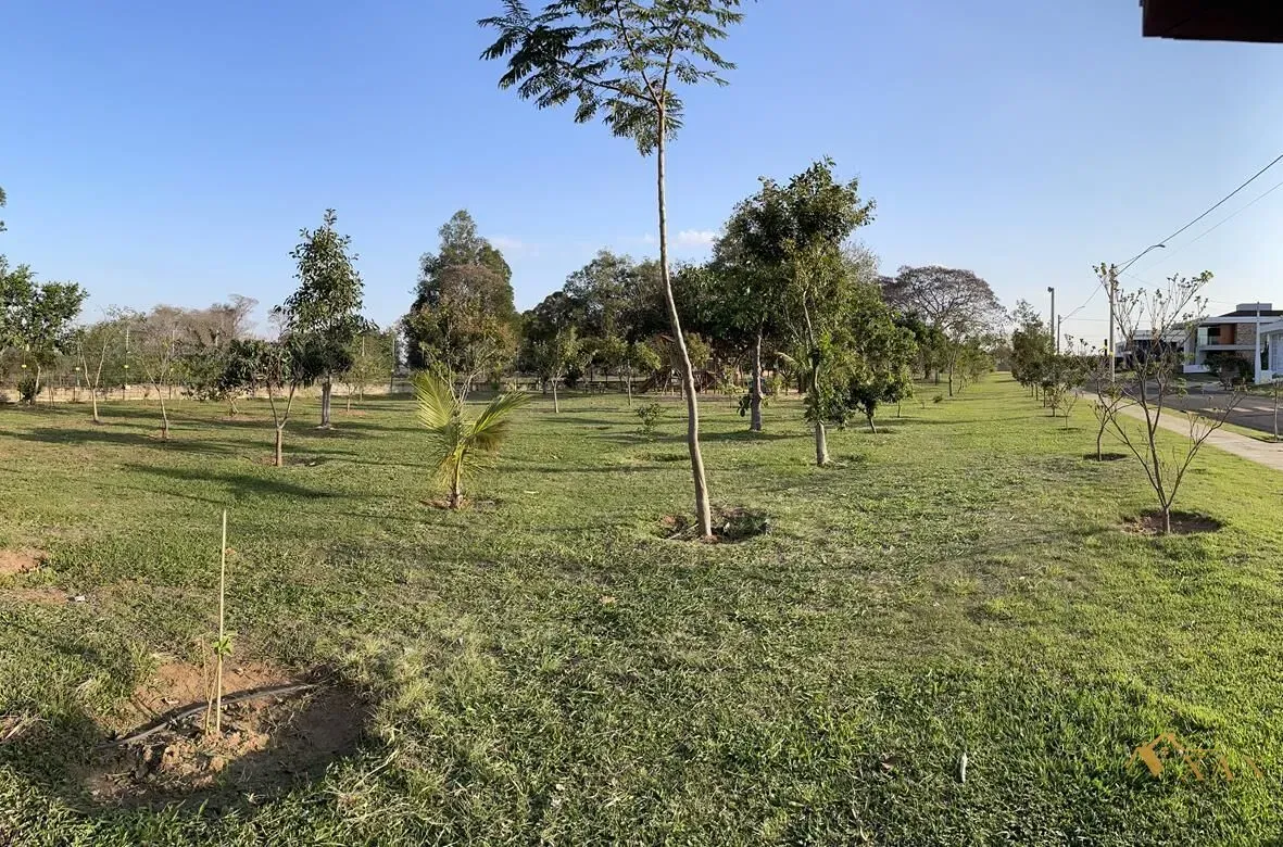 Terreno em Condomínio - Jardim São Domingos - foto 10