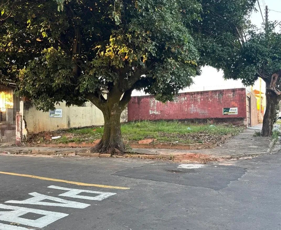 Terreno em Alto Cafezal, Marília/SP - foto 4