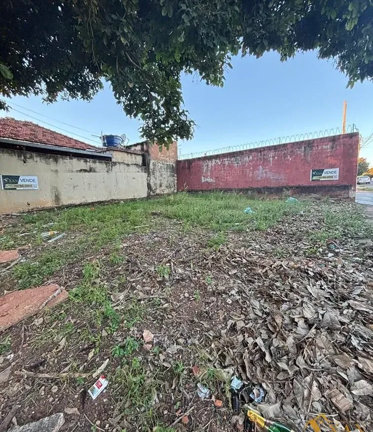 Terreno em Alto Cafezal, Marília/SP - foto 5