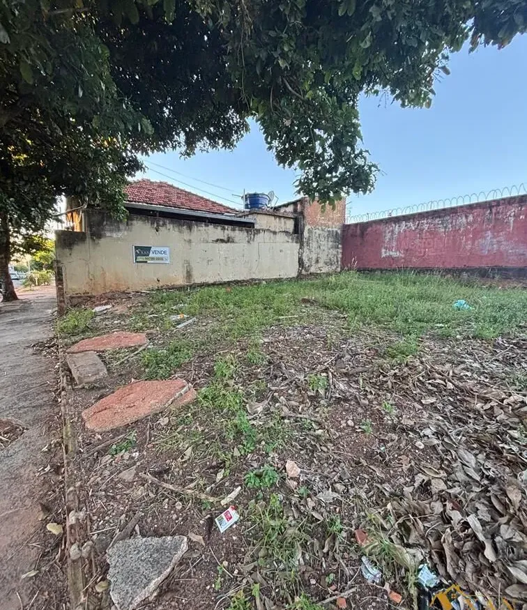 Terreno em Alto Cafezal, Marília/SP - foto 6